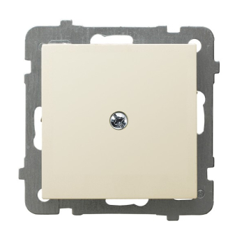 AS Z-1G/m/27  zaślepka ramki