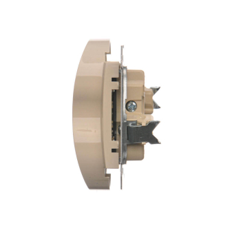 SIMON54 DGZ2MZN.01/41  gniazdo podwójne z uziemieniem oraz przesłonami torów prądowych do ramek NATURE